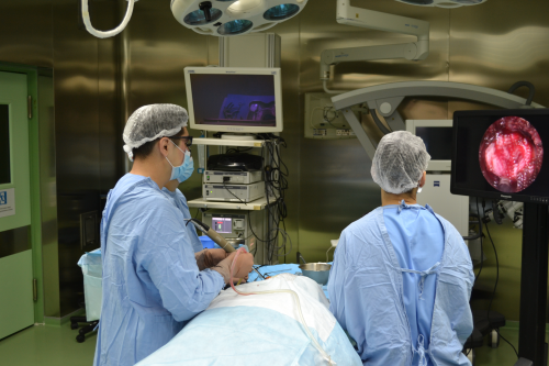 A high-tech brain tumor removal surgery via a transnasal approach