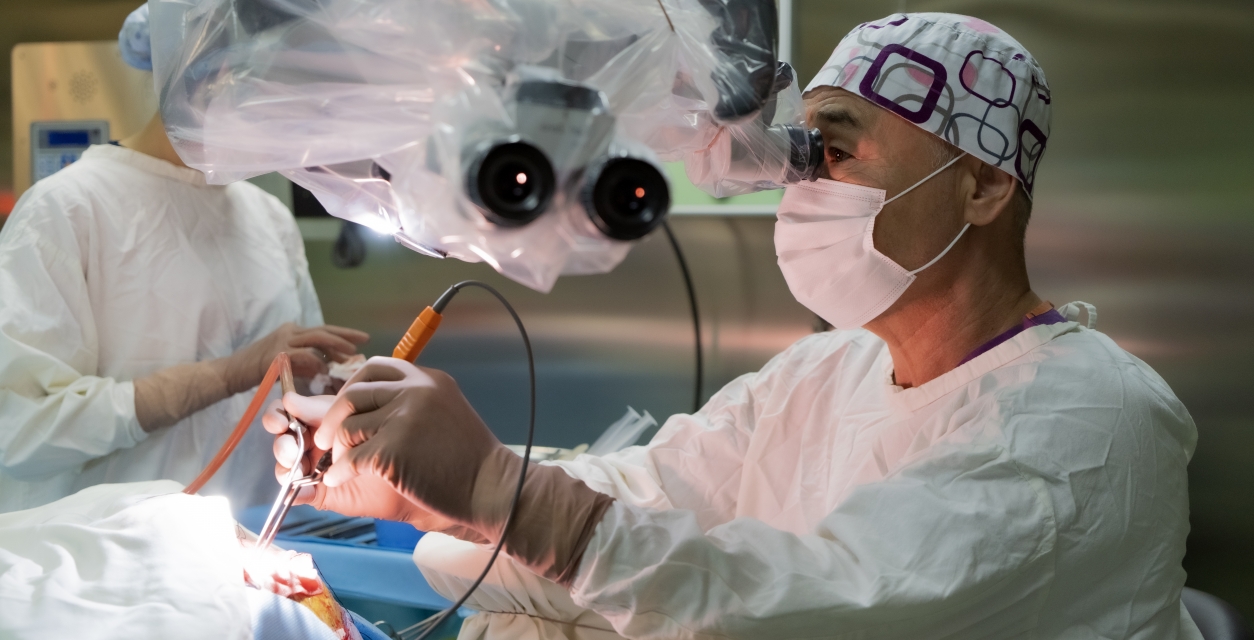 Neurosurgical treatment of a wide range of brain tumors