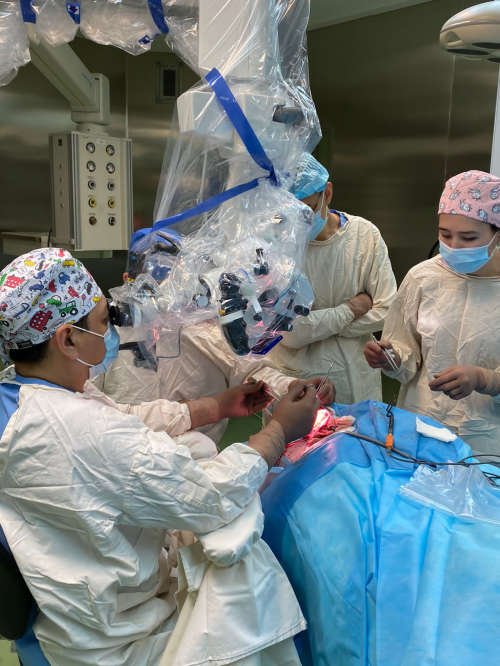 Clinical case: the removal of a giant brain tumor in a three-month-old patient